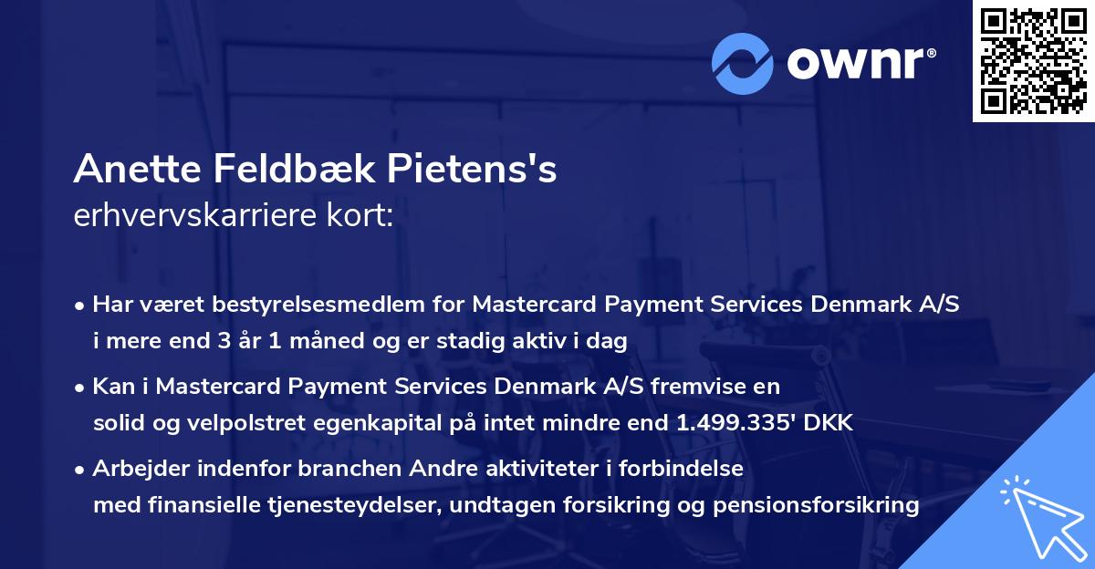 Anette Feldbæk Pietens's erhvervskarriere kort