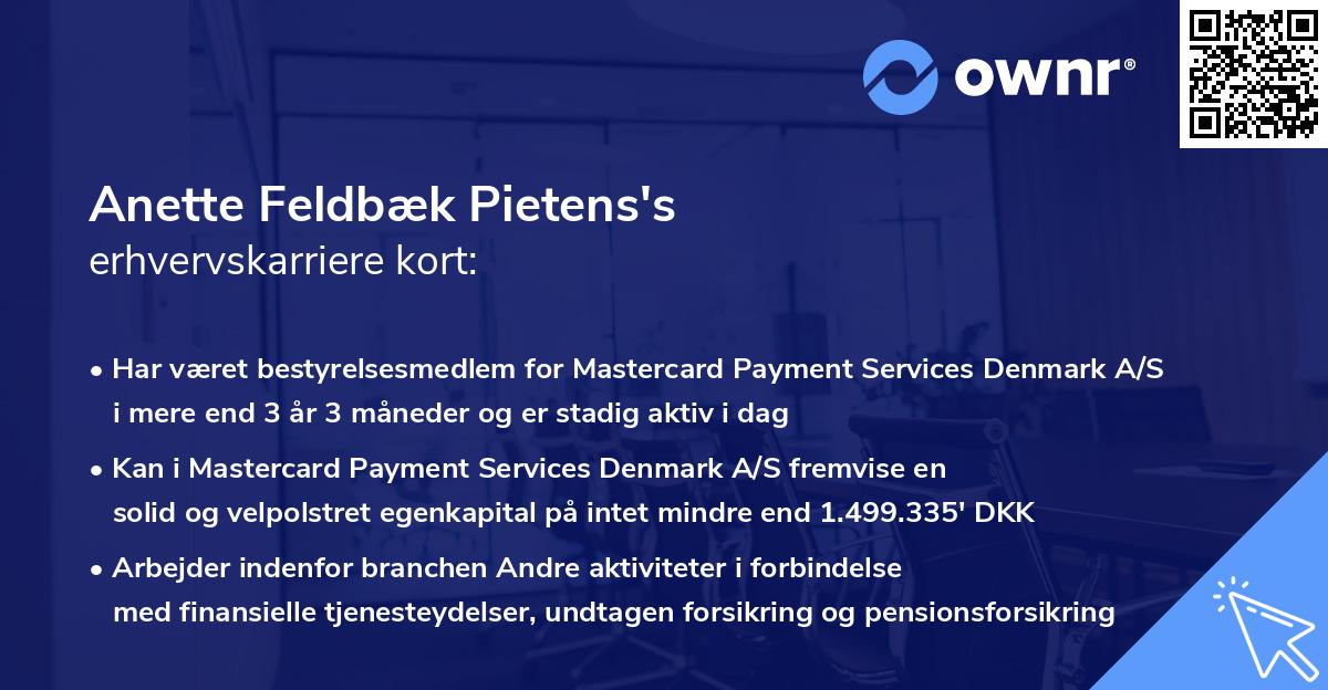 Anette Feldbæk Pietens's erhvervskarriere kort