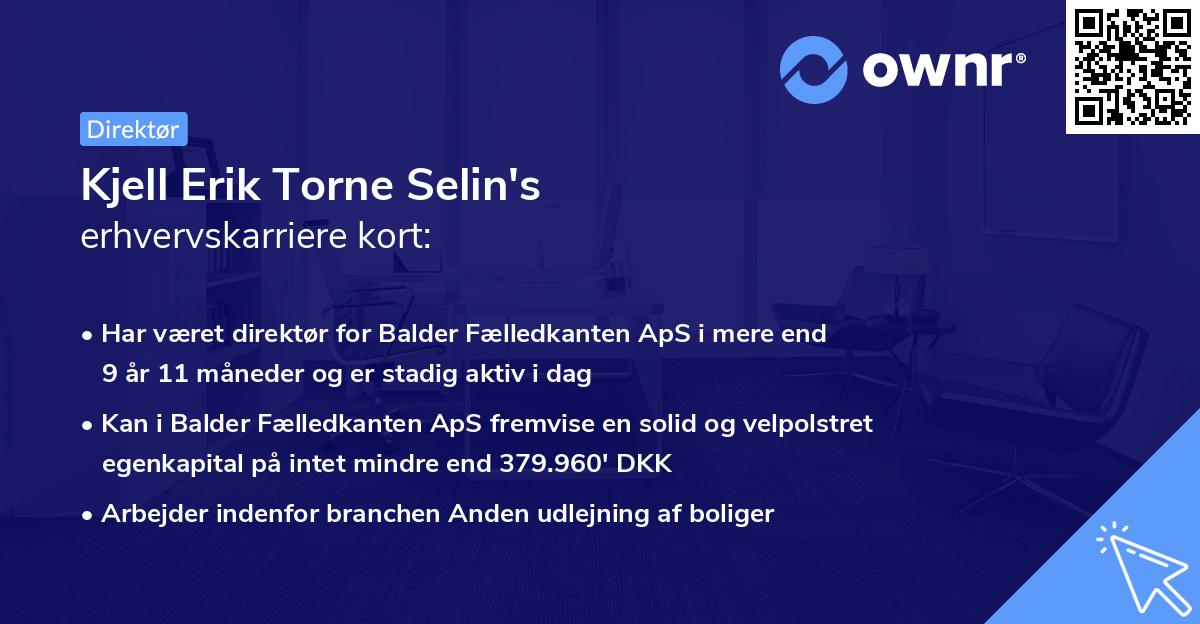 Kjell Erik Torne Selin's erhvervskarriere kort