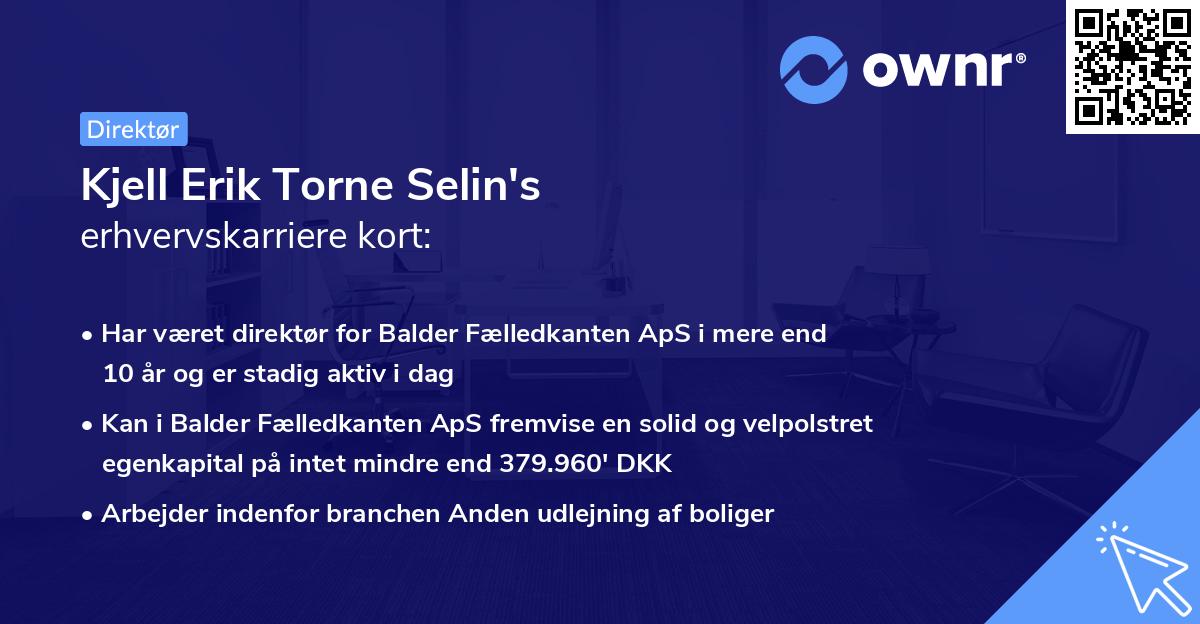 Kjell Erik Torne Selin's erhvervskarriere kort