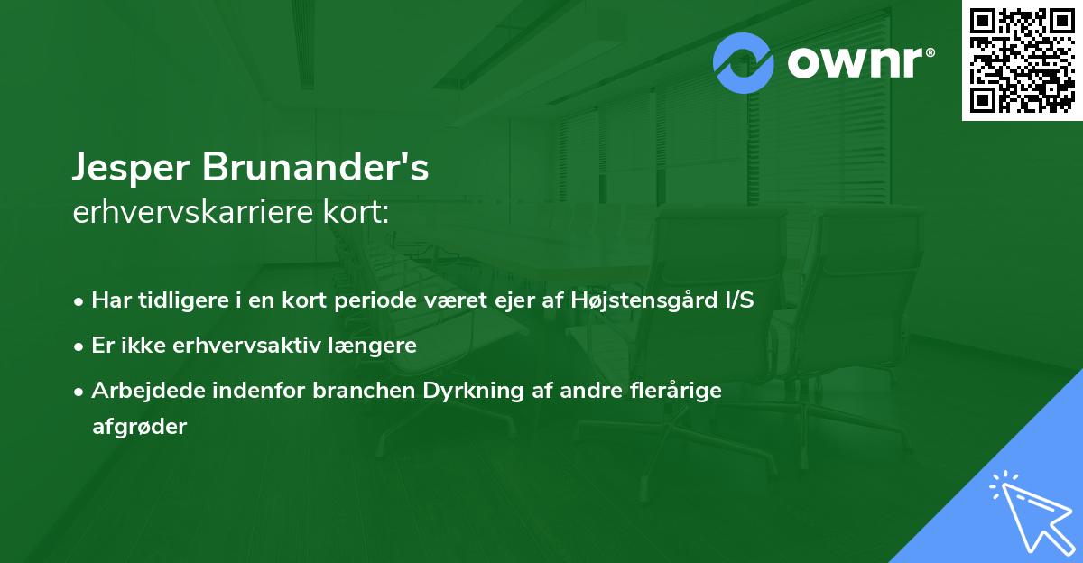 Jesper Brunander's erhvervskarriere kort