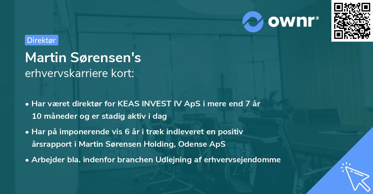 Martin Sørensen's erhvervskarriere kort