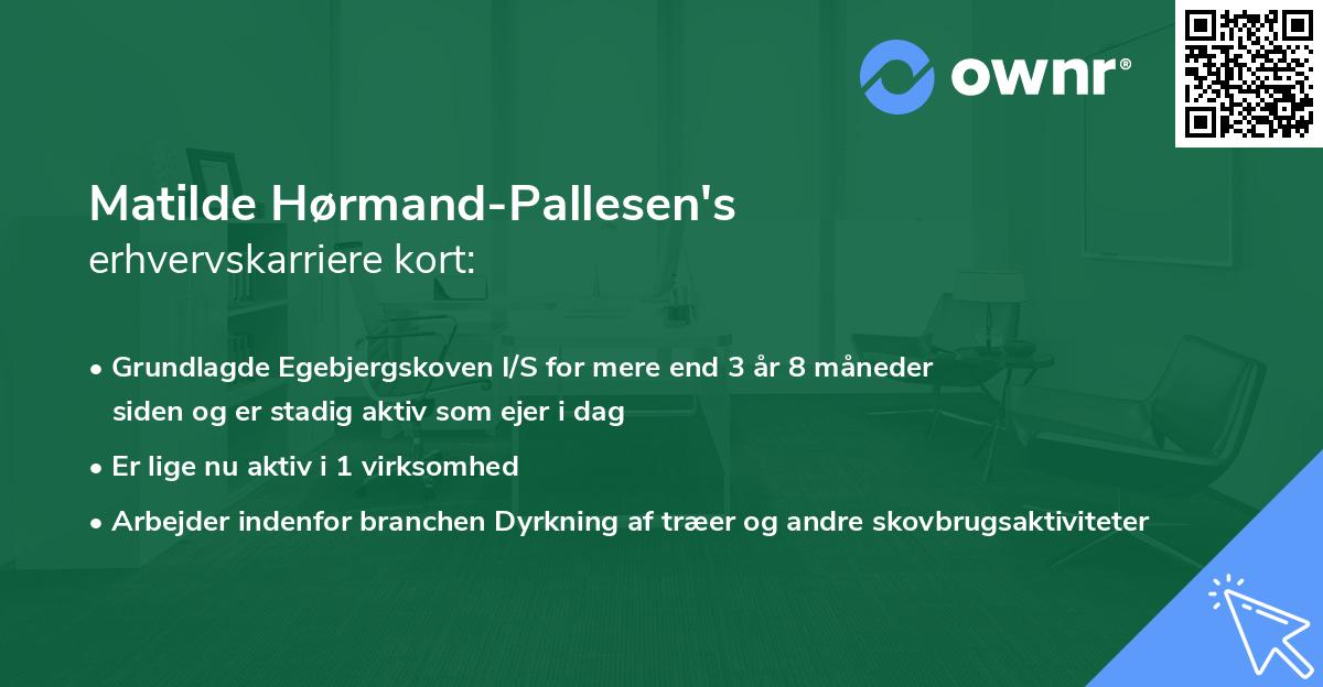 Matilde Hørmand-Pallesen's erhvervskarriere kort