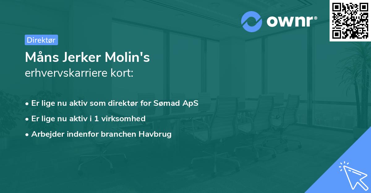 Måns Jerker Molin's erhvervskarriere kort