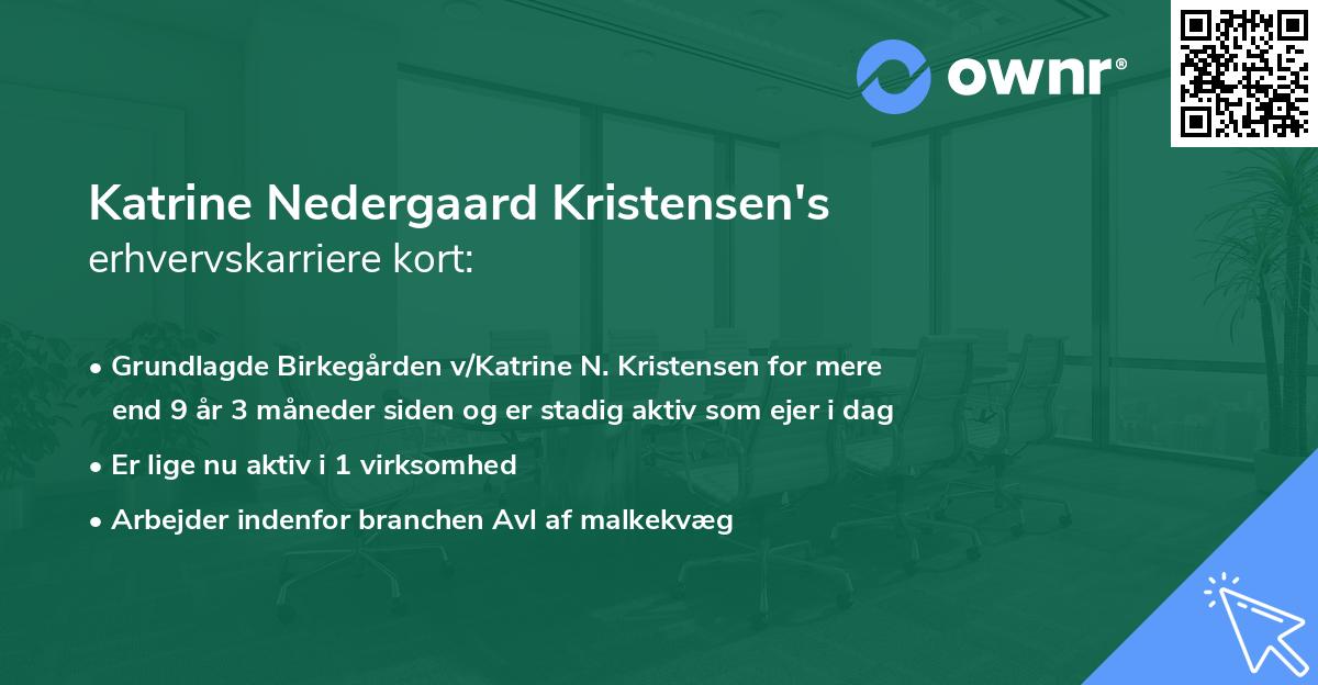 Katrine Nedergaard Kristensen's erhvervskarriere kort