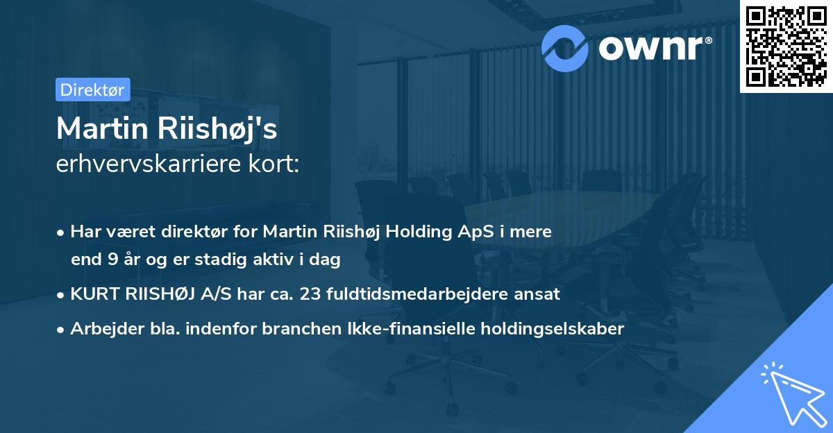 Martin Riishøj's erhvervskarriere kort