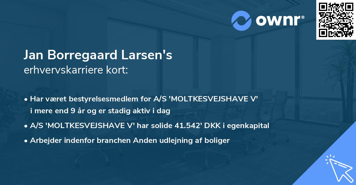 Jan Borregaard Larsen's erhvervskarriere kort