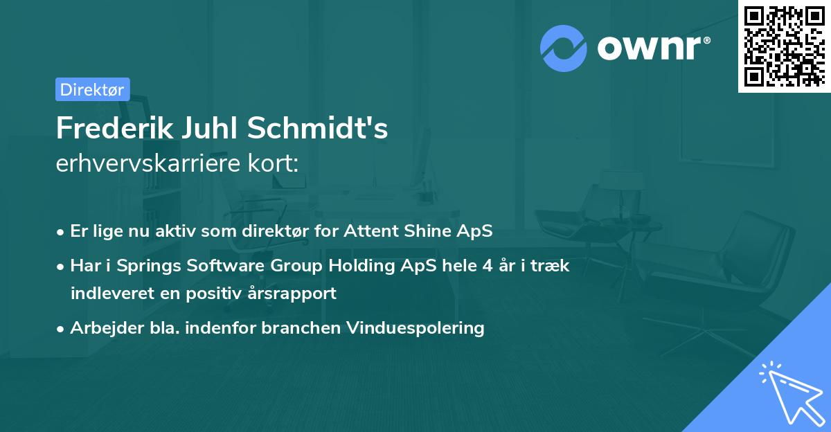 Frederik Juhl Schmidt's erhvervskarriere kort