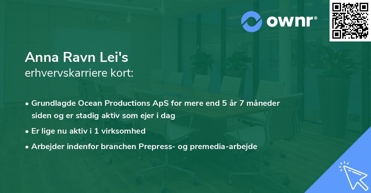 Anna Ravn Lei's erhvervskarriere kort