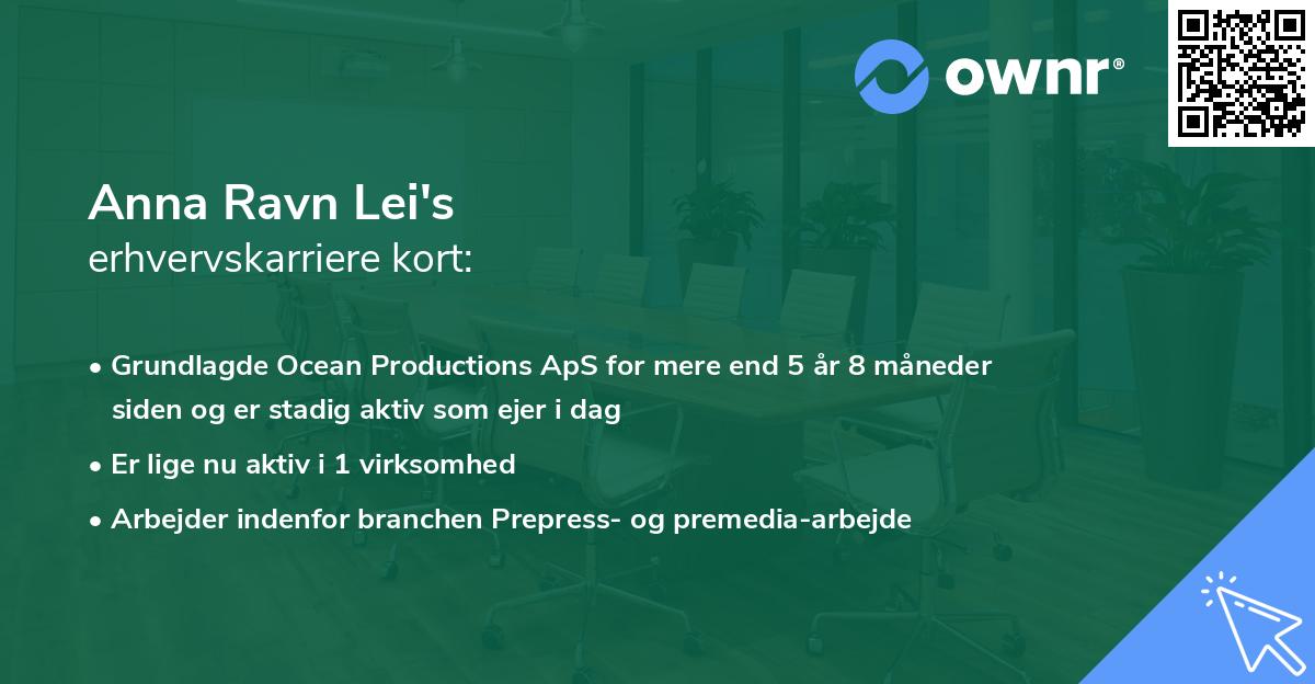 Anna Ravn Lei's erhvervskarriere kort
