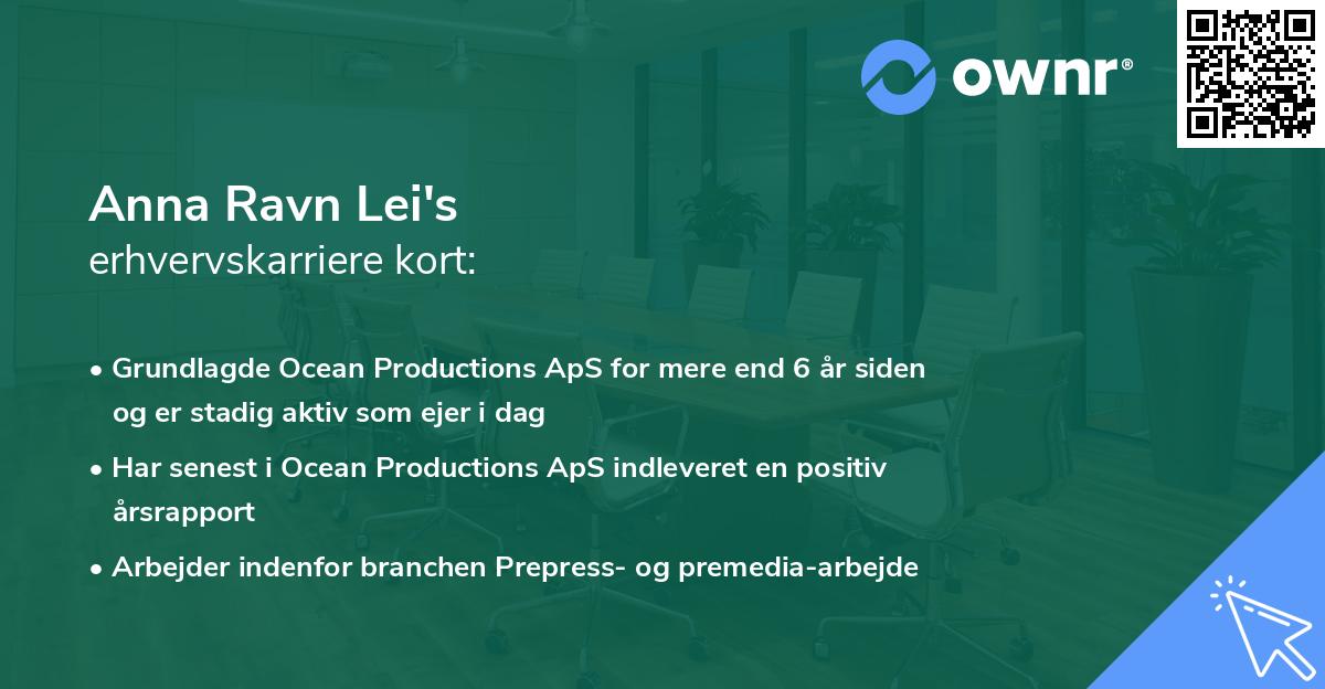 Anna Ravn Lei's erhvervskarriere kort