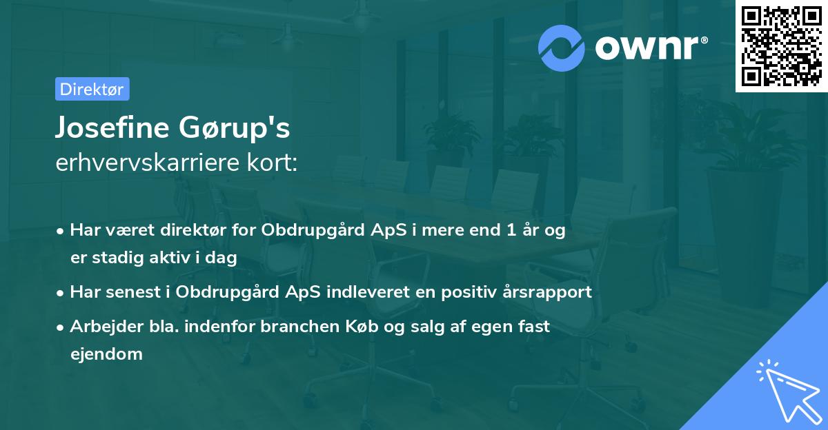 Josefine Gørup's erhvervskarriere kort