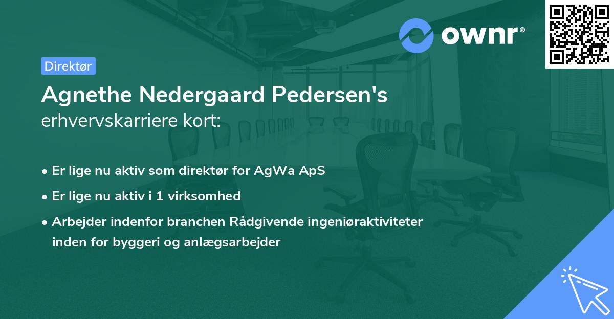 Agnethe Nedergaard Pedersen's erhvervskarriere kort