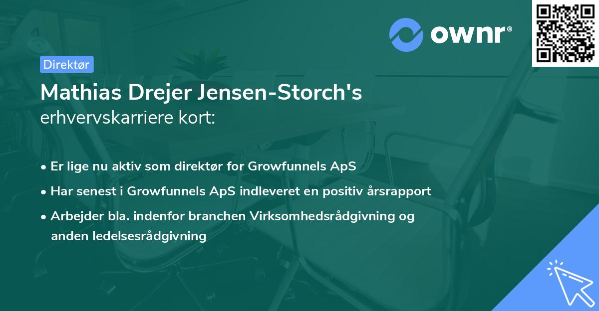 Mathias Drejer Jensen-Storch's erhvervskarriere kort