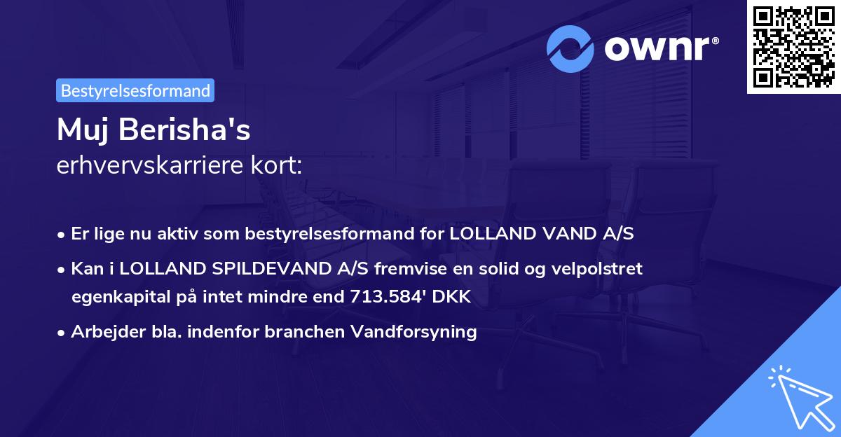 Muj Berisha's erhvervskarriere kort