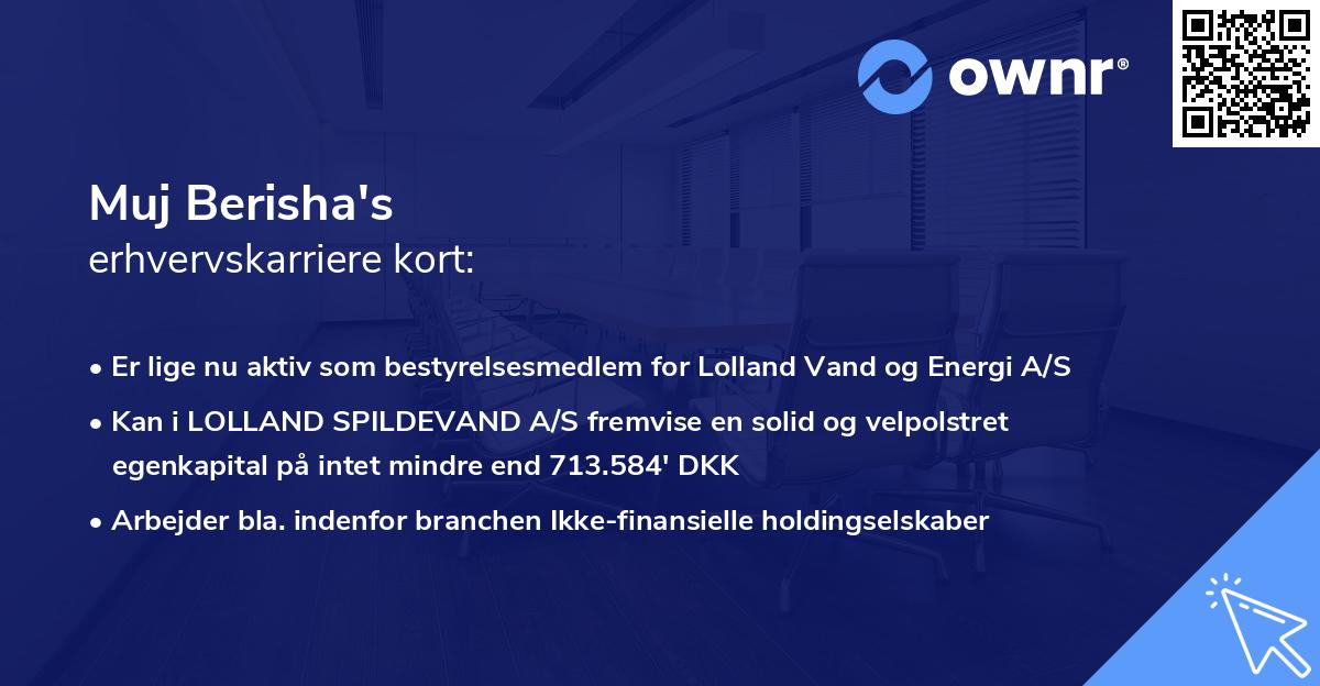 Muj Berisha's erhvervskarriere kort