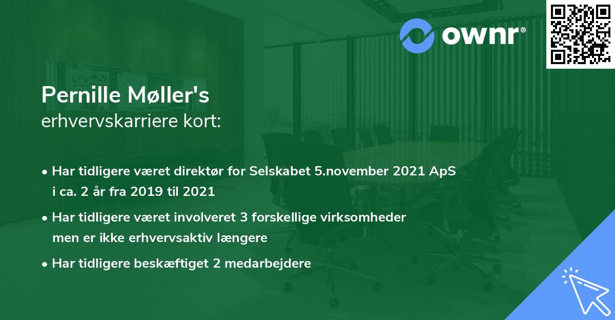 Pernille Møller's erhvervskarriere kort