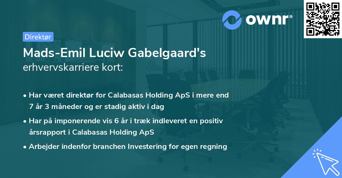 Mads-Emil Luciw Gabelgaard's erhvervskarriere kort