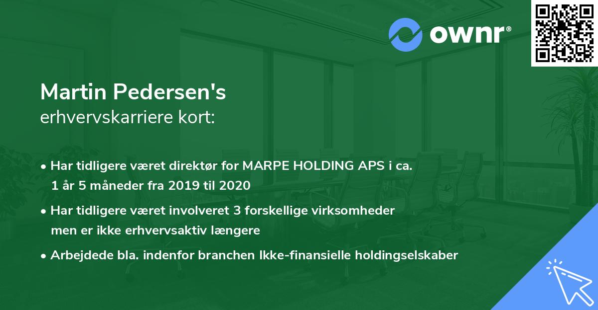 Martin Pedersen's erhvervskarriere kort