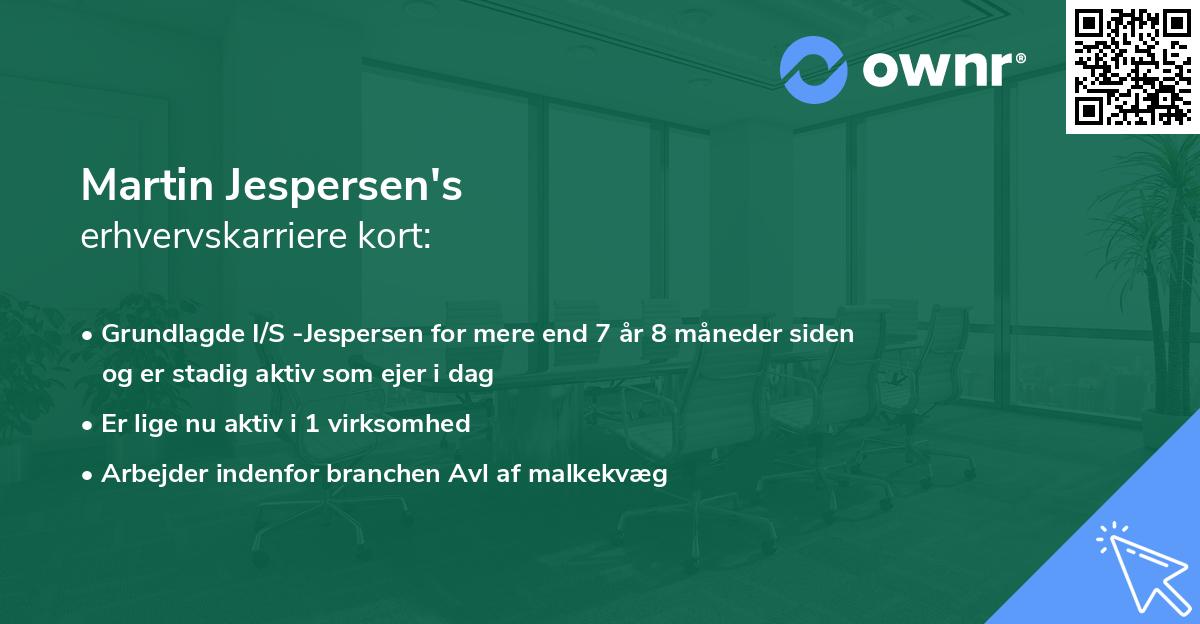Martin Jespersen's erhvervskarriere kort