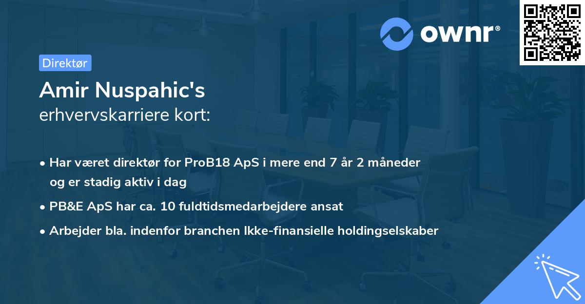 Amir Nuspahic's erhvervskarriere kort