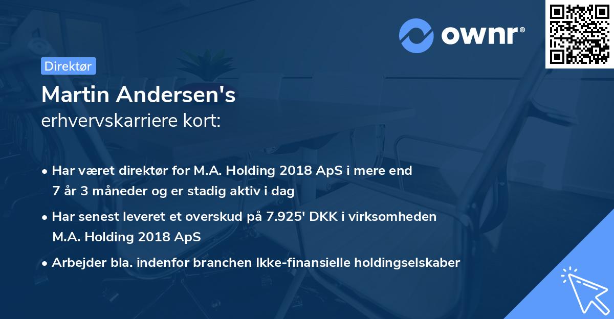 Martin Andersen's erhvervskarriere kort