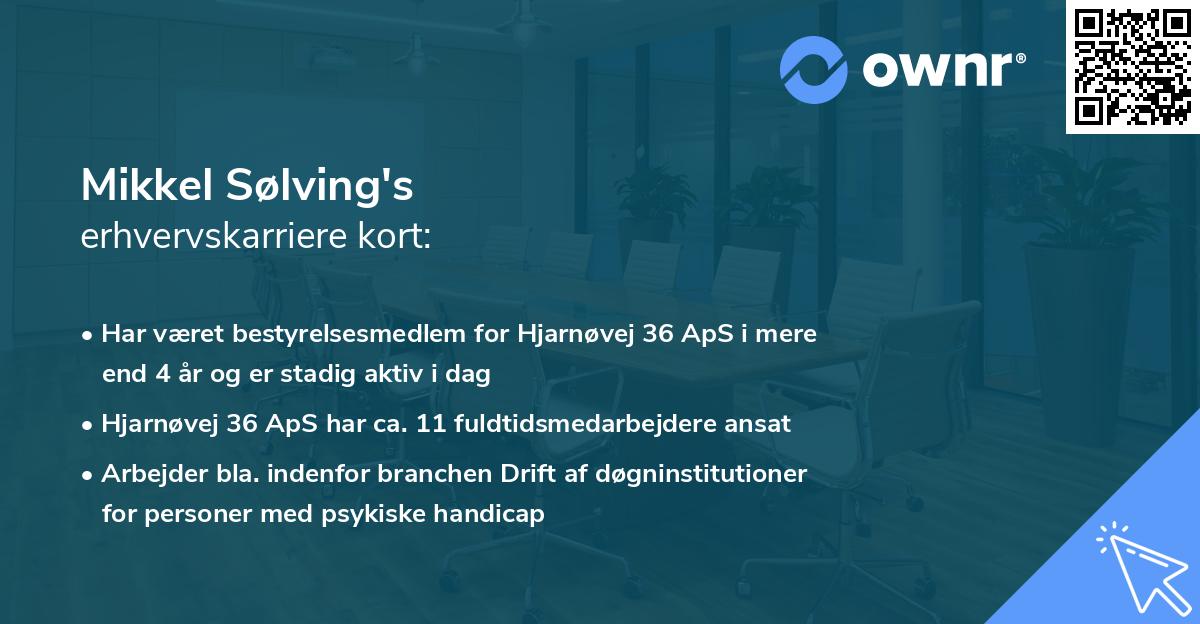Mikkel Sølving's erhvervskarriere kort