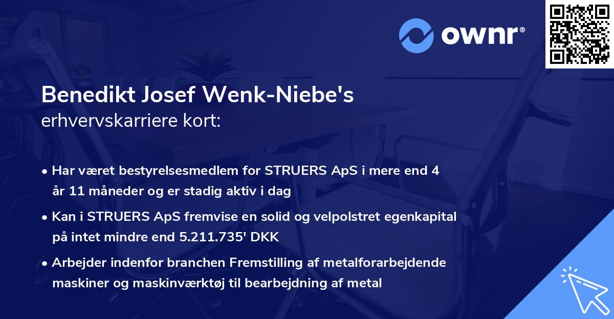 Benedikt Josef Wenk-Niebe's erhvervskarriere kort