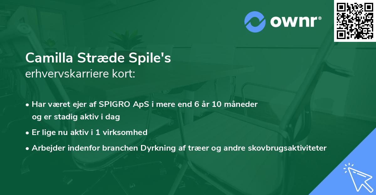 Camilla Stræde Spile's erhvervskarriere kort
