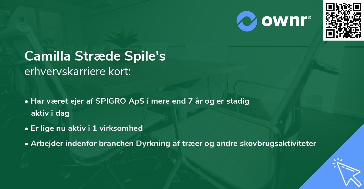 Camilla Stræde Spile's erhvervskarriere kort