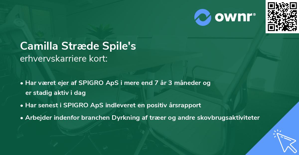 Camilla Stræde Spile's erhvervskarriere kort