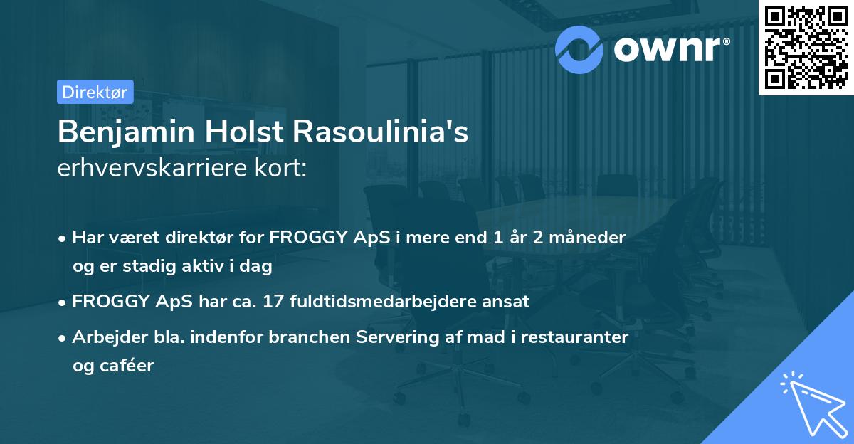 Benjamin Holst Rasoulinia's erhvervskarriere kort