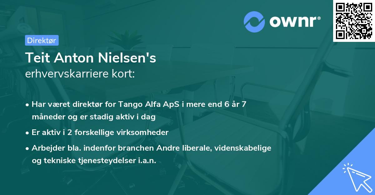 Teit Anton Nielsen's erhvervskarriere kort
