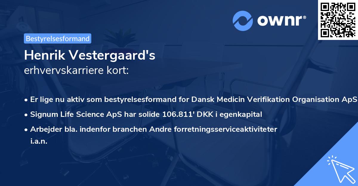 Henrik Vestergaard's erhvervskarriere kort