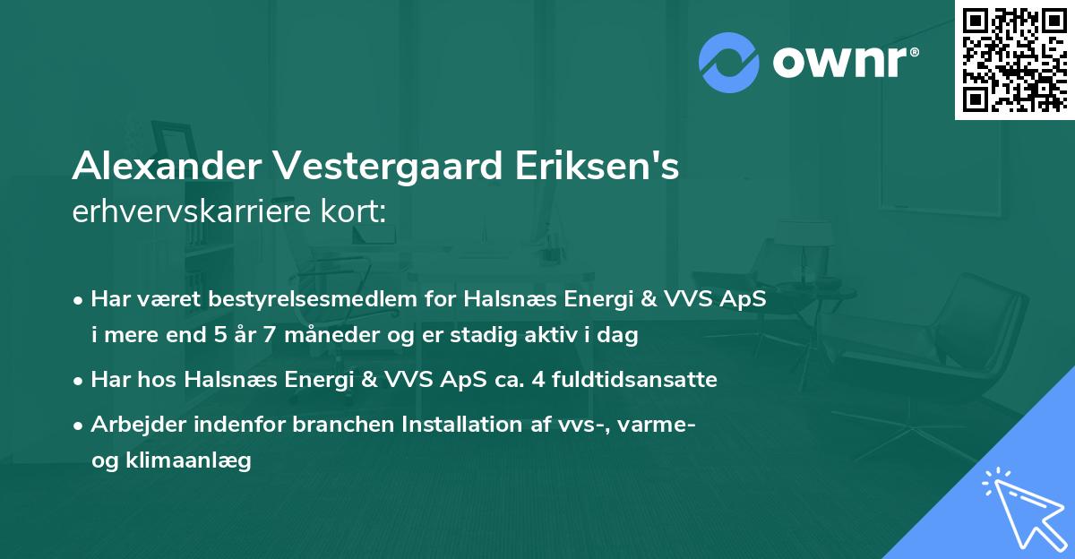 Alexander Vestergaard Eriksen's erhvervskarriere kort