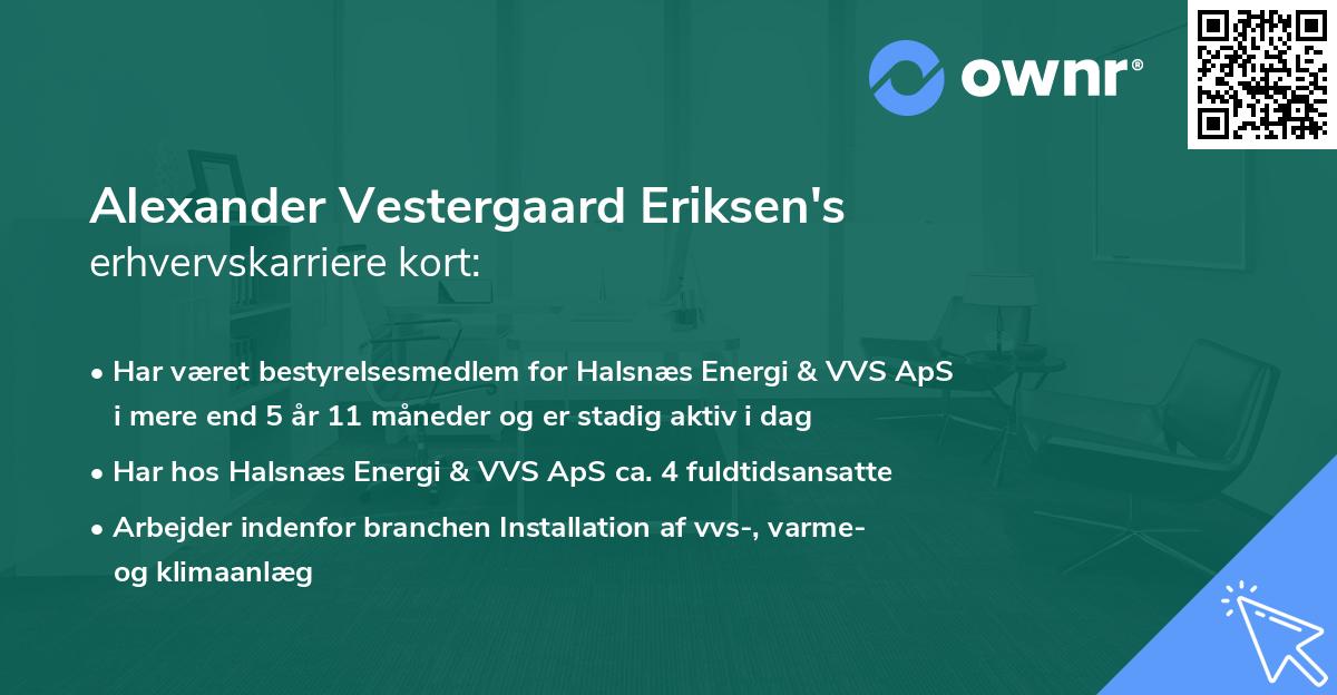 Alexander Vestergaard Eriksen's erhvervskarriere kort