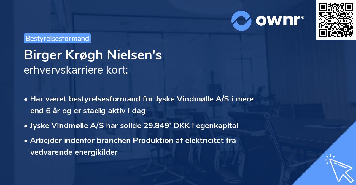 Birger Krøgh Nielsen's erhvervskarriere kort
