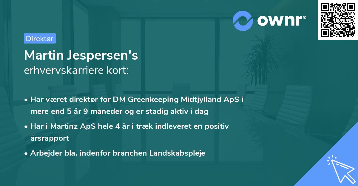 Martin Jespersen's erhvervskarriere kort