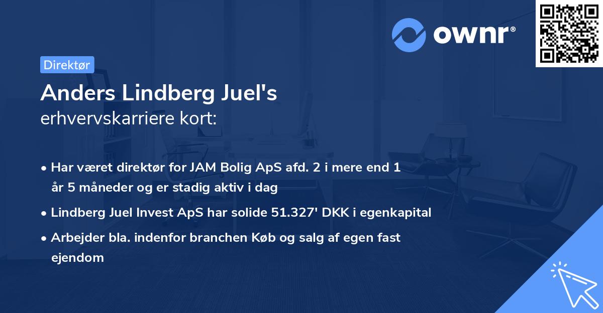 Anders Lindberg Juel's erhvervskarriere kort