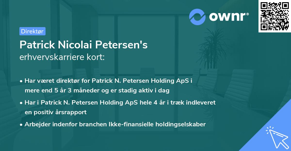Patrick Nicolai Petersen's erhvervskarriere kort