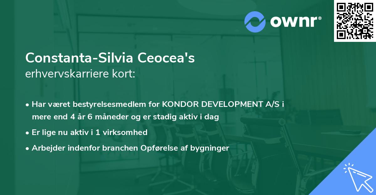Constanta-Silvia Ceocea's erhvervskarriere kort