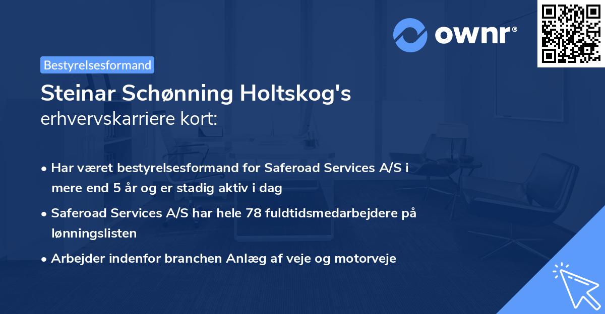 Steinar Schønning Holtskog's erhvervskarriere kort