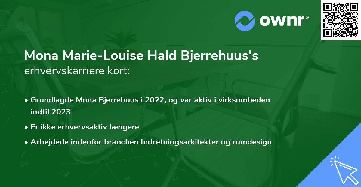 Mona Marie-Louise Hald Bjerrehuus's erhvervskarriere kort