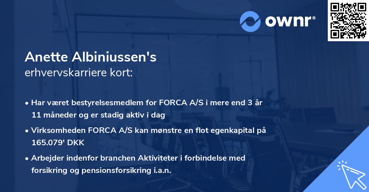 Anette Albiniussen's erhvervskarriere kort