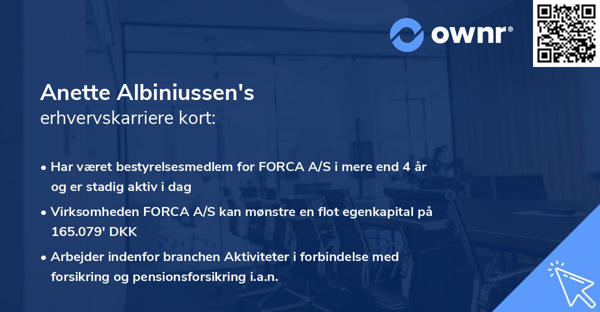 Anette Albiniussen's erhvervskarriere kort