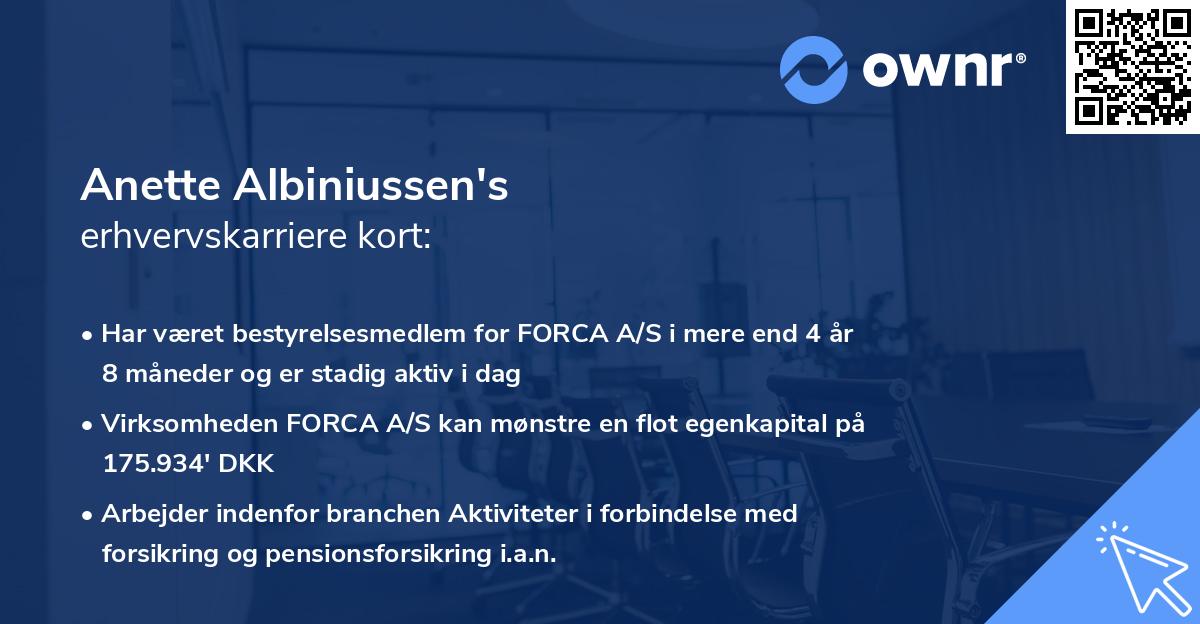 Anette Albiniussen's erhvervskarriere kort