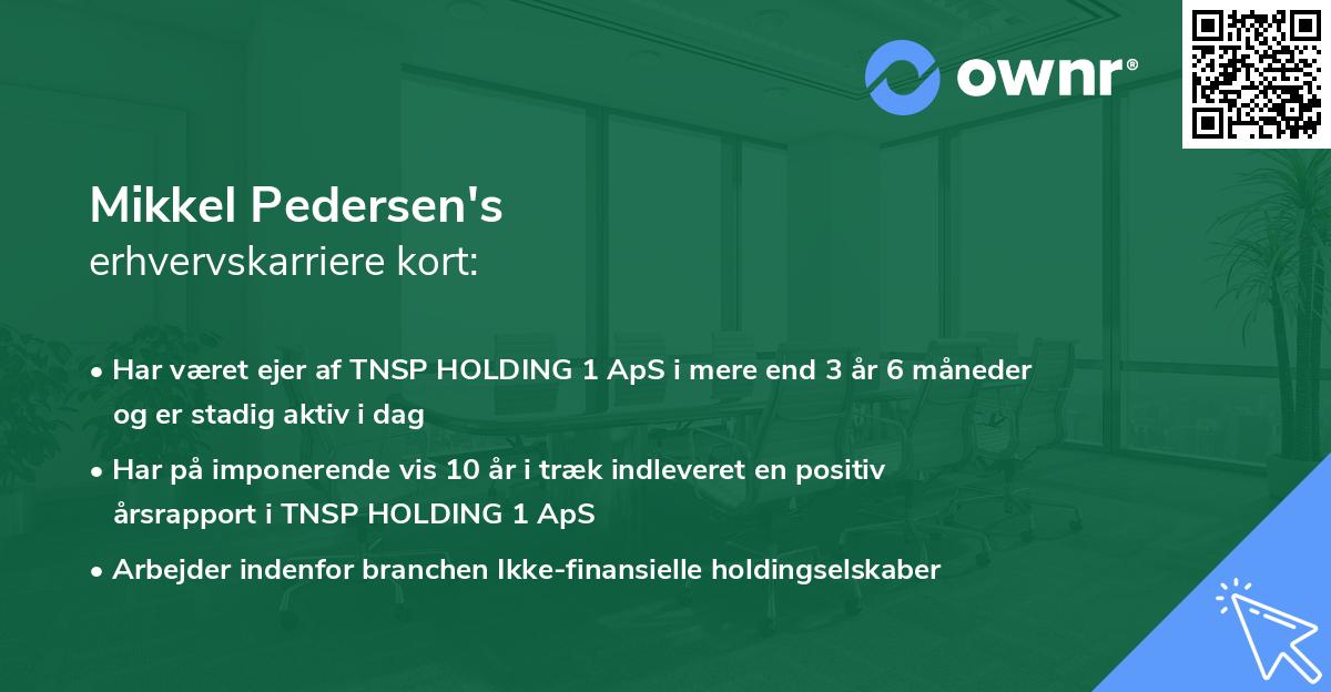 Mikkel Pedersen's erhvervskarriere kort