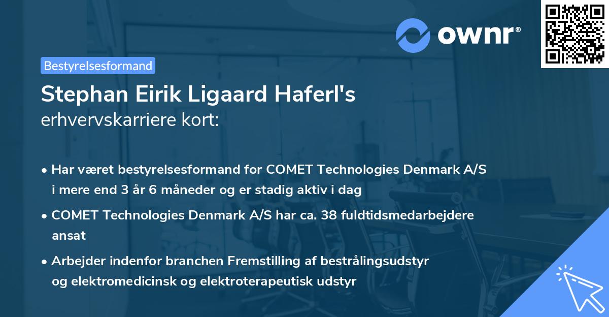 Stephan Eirik Ligaard Haferl's erhvervskarriere kort