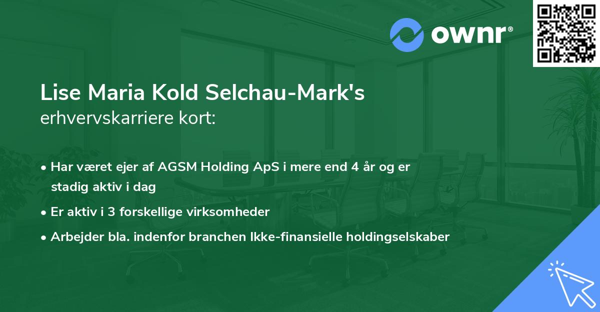 Lise Maria Kold Selchau-Mark's erhvervskarriere kort