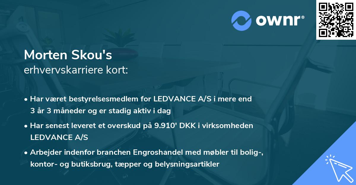 Morten Skou's erhvervskarriere kort